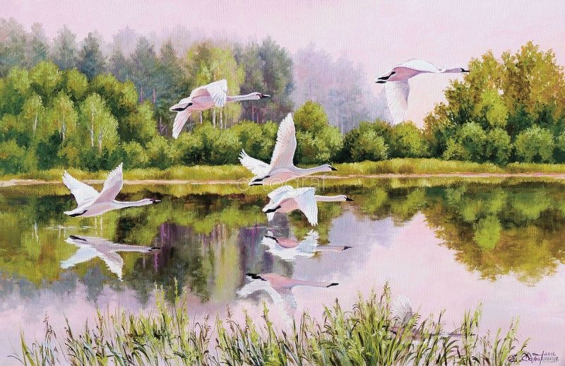 На взлете Art.8231