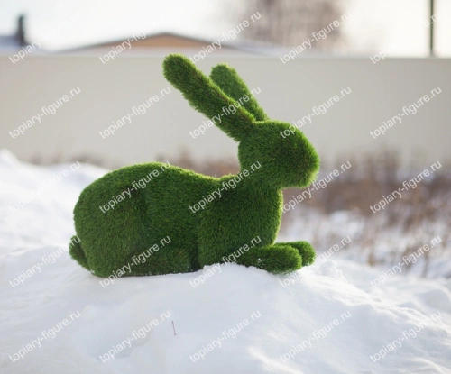 Заяц лежит