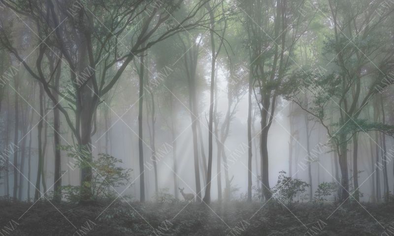 Фреска ALBA Natura арт. 800170