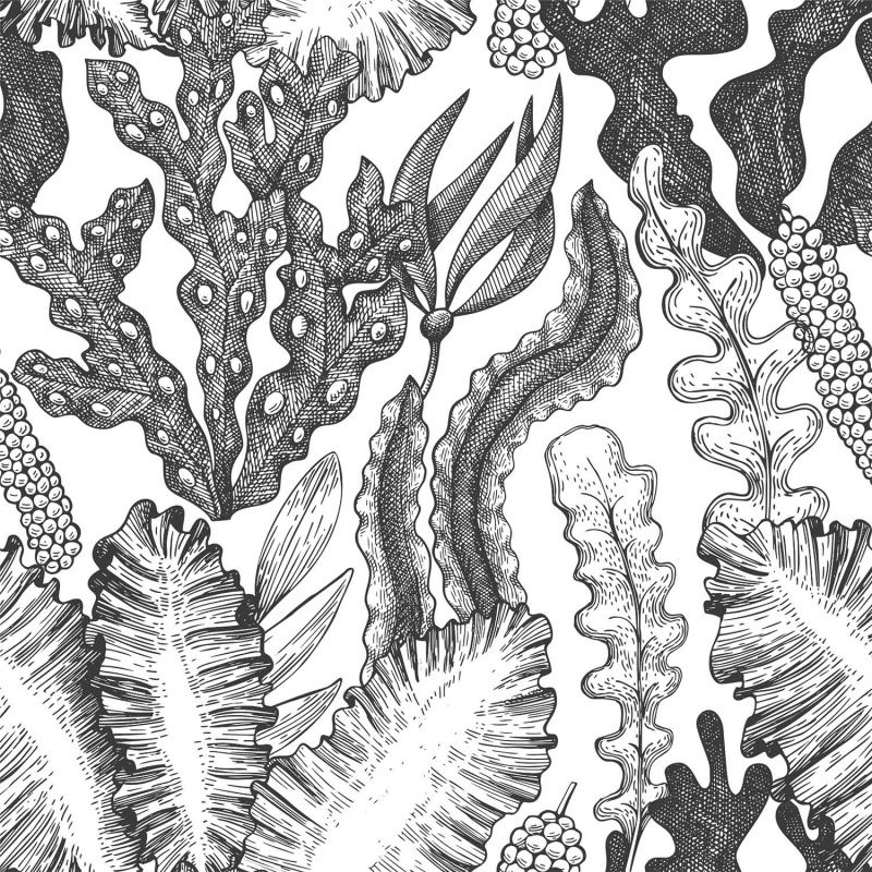 Best Photo Bank 1964094316