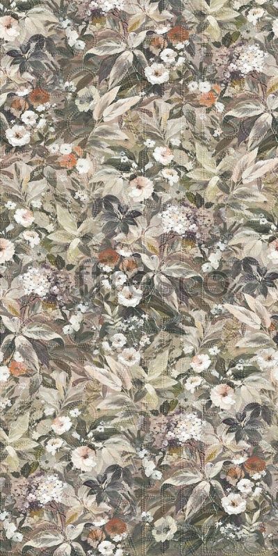 Фрески, Каталог Ботаника, арт. ID138518