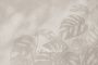 SHADOWS Monstera