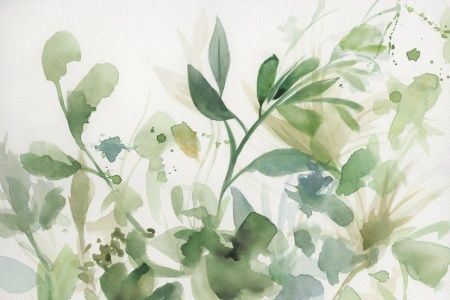 Акварельный гербарий-2