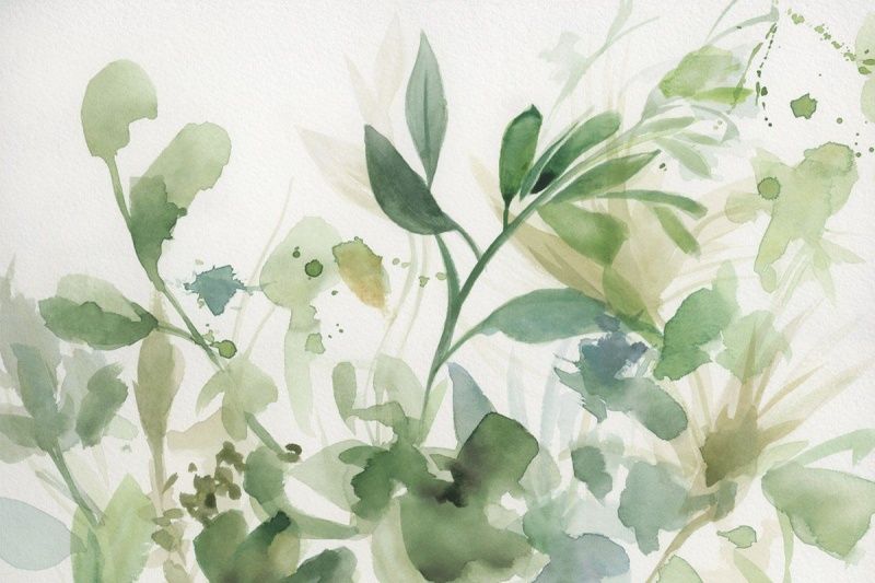 Акварельный гербарий-2