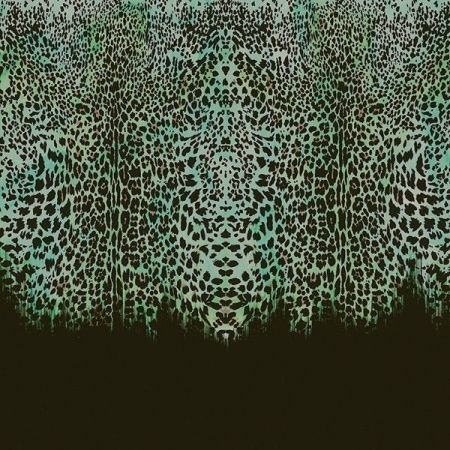 Виниловые фотообои Roberto Cavalli 8 RC19113