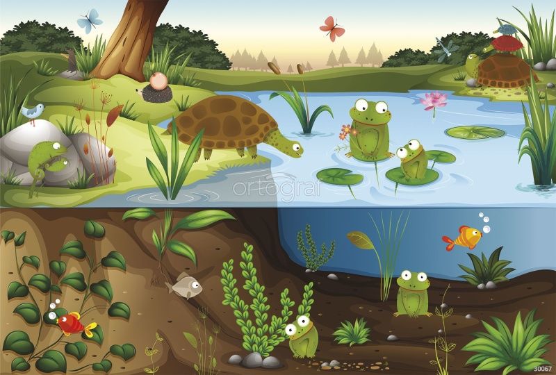 Сказочный прудик Art.30067