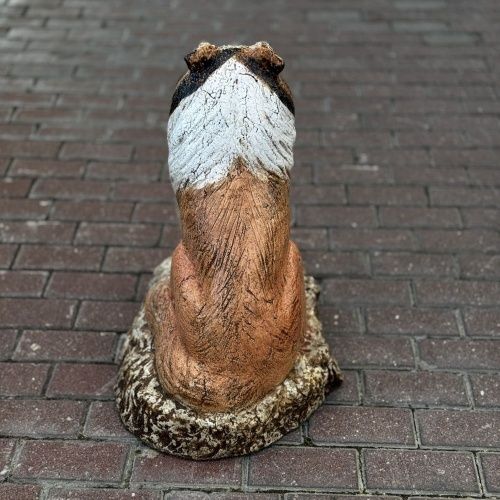 Собака Колли цветная