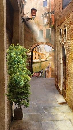 Современный Графический Дизайн 4217