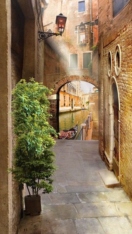 Современный Графический Дизайн 4217