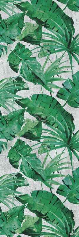 Пальмовые листья на бетоне Art.30055
