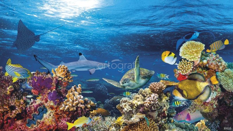 Обитатели дна Art.33115