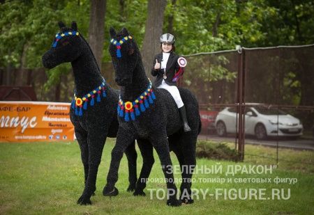 Топиари "Конь черный"