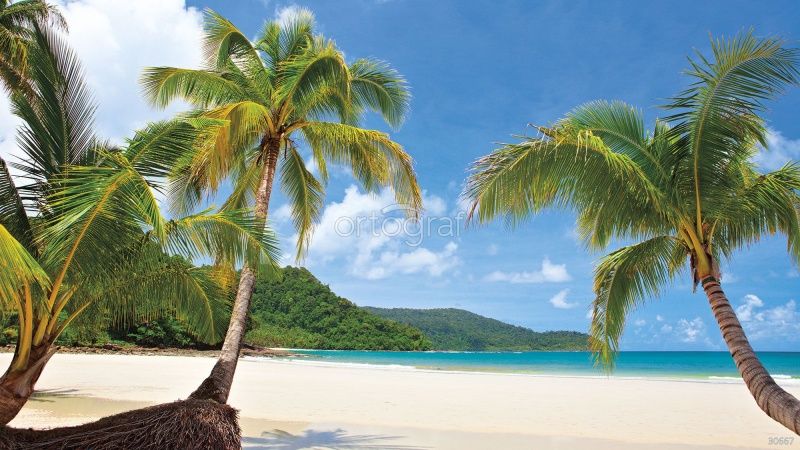 Фреска Пляж Раротонга Art.30667