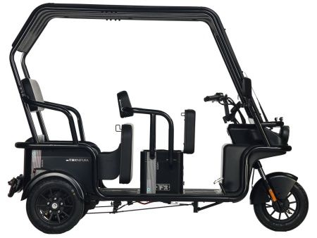 Электротрицикл Wanshida NIPLA 500 60V 1000Вт