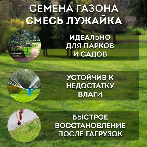 Травосмесь "Лужайка" 1 кг Зеленый уголок