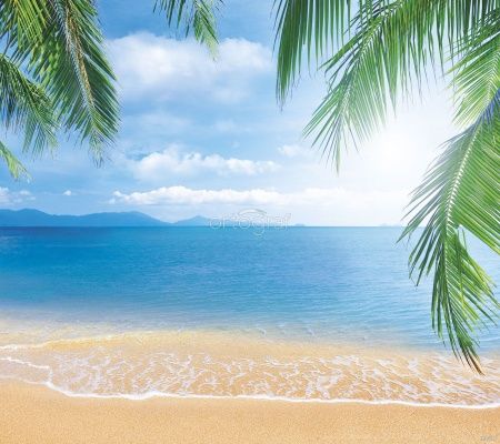 Тропический пейзаж Art.33612