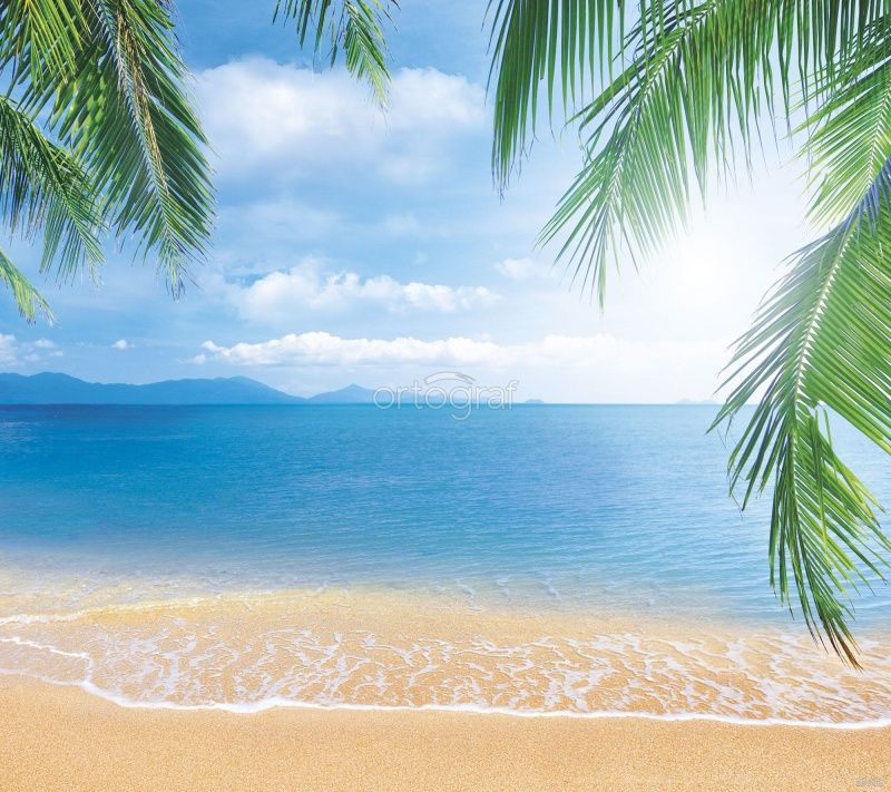 Тропический пейзаж Art.33612