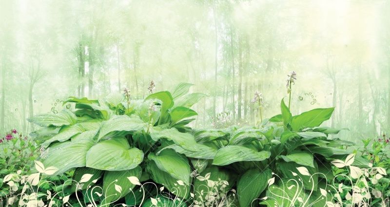 Фреска Фантастические заросли подорожника в лесу