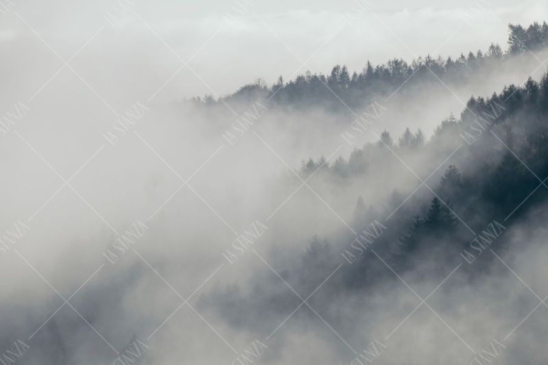 Фреска ALBA Natura арт. 800180