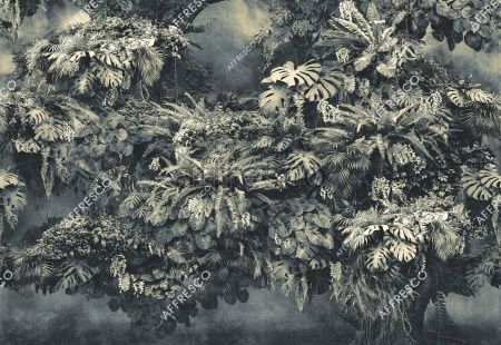 Вход в джунгли, арт. ID137764