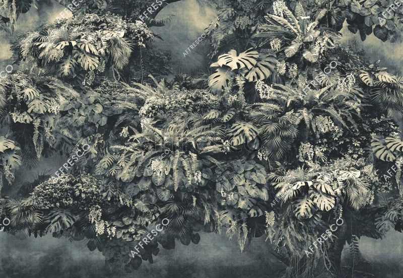 Вход в джунгли, арт. ID137764