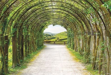 Зеленая пергола Art.4880