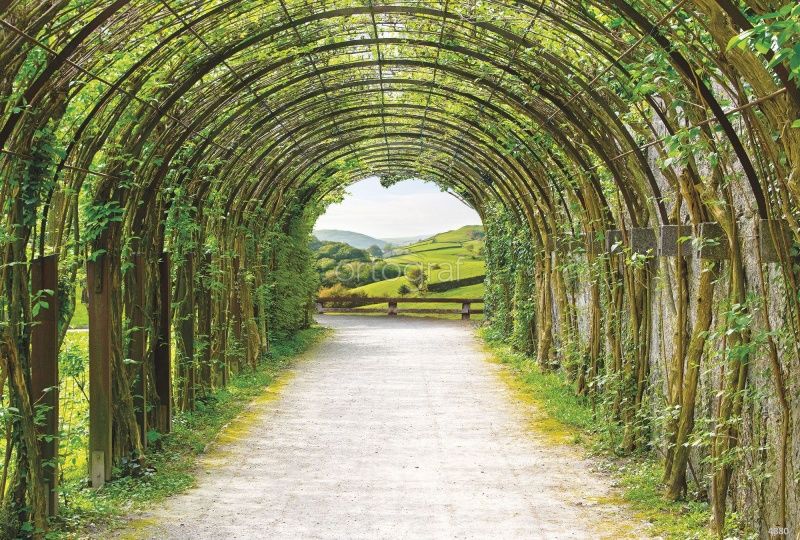 Зеленая пергола Art.4880