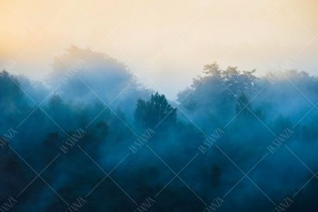 Фреска ALBA Natura арт. 800177