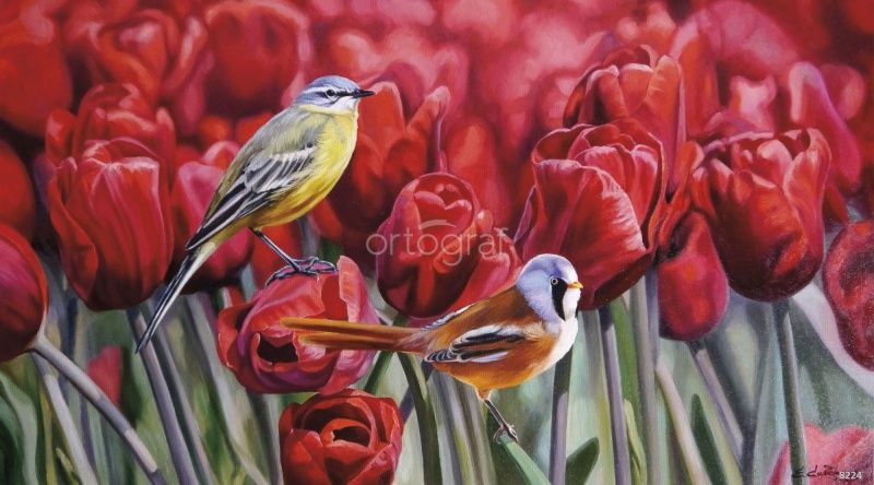 Тюльпановый дуэт Art.8224