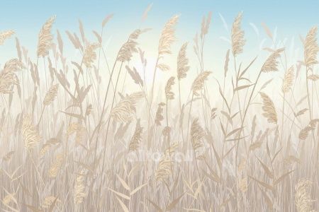 Утро в поле