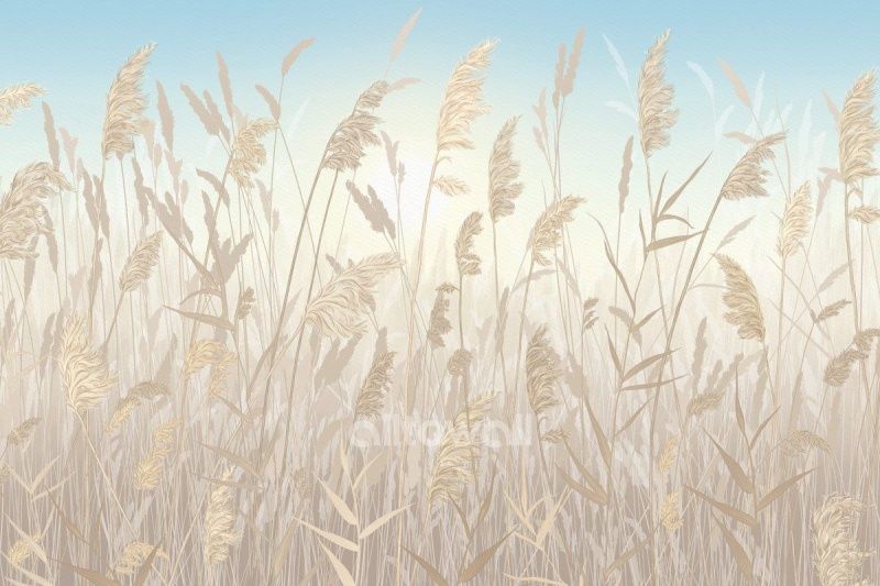 Утро в поле