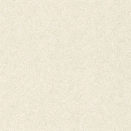 Виниловые обои на флизелиновой основе Rasch Wall Textures XL III 1.06x10.05 арт.947649