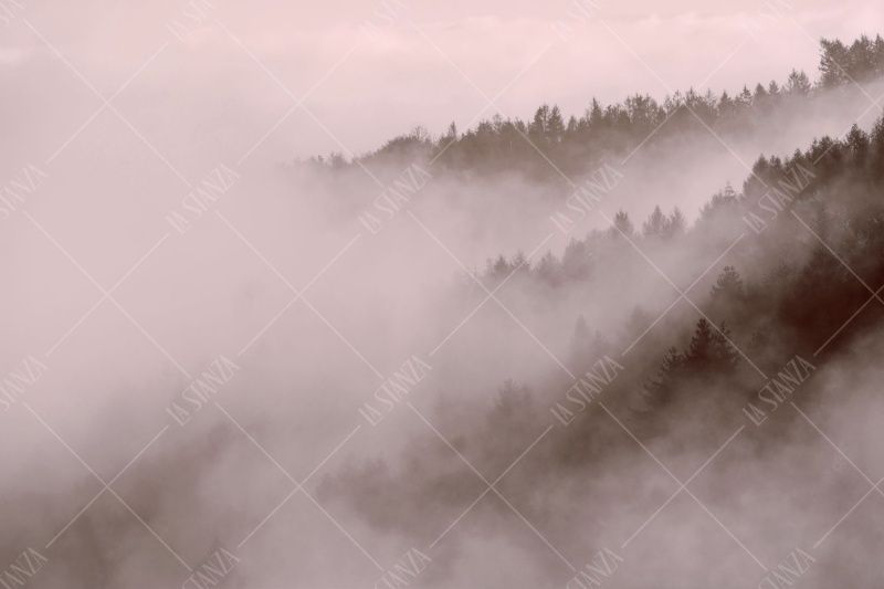 Фреска ALBA Natura арт. 800181