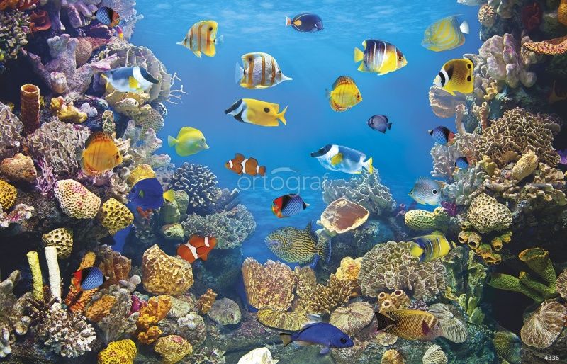 Фреска Подводный мир Art.4336