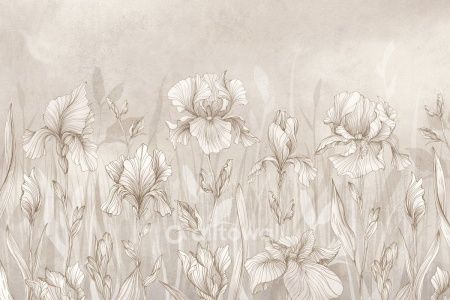 Изящные ирисы-1