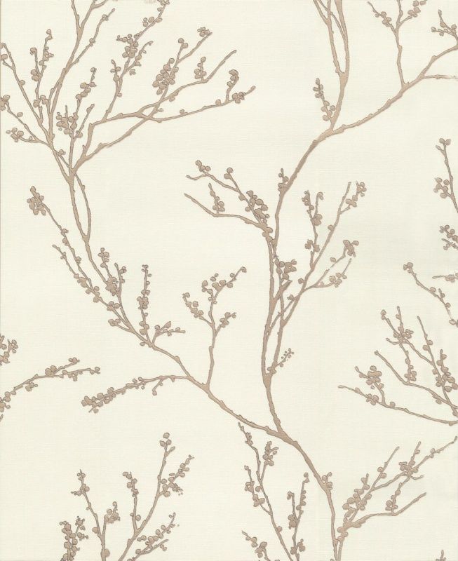 54360-1 Andrea Rossi Spectrum max 1,06 x 10,05