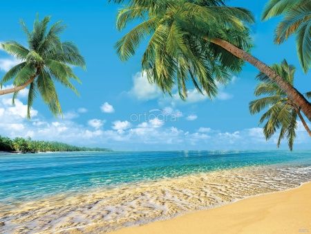 Тропический рай Art.30971