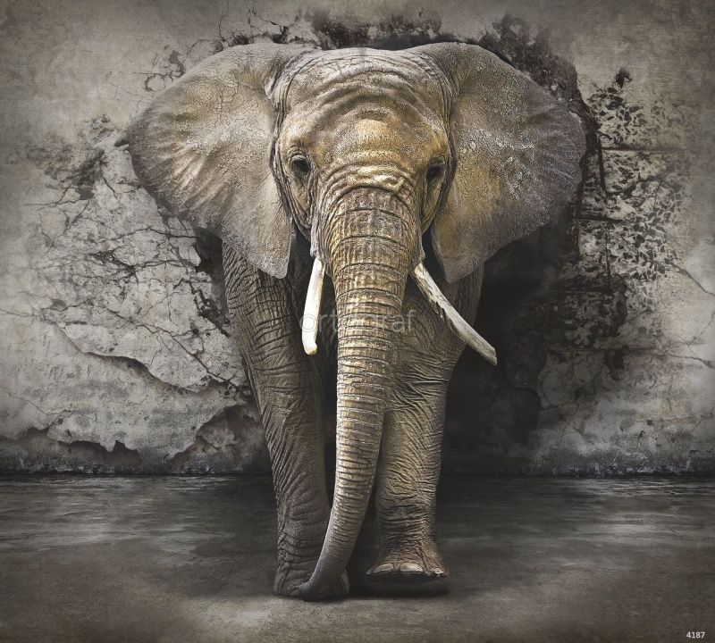 Слон  Art.4187