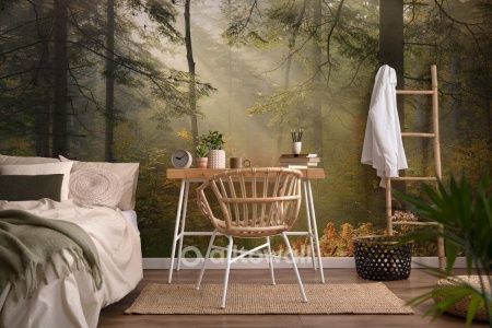 Солнечный лес