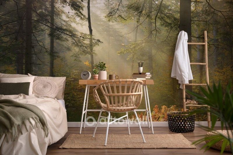 Солнечный лес