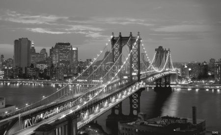 Ночной мегаполис Art.5543