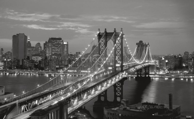 Ночной мегаполис Art.5543