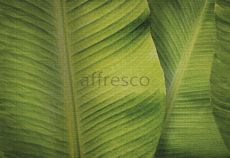 Тропические листья, арт. ID136392