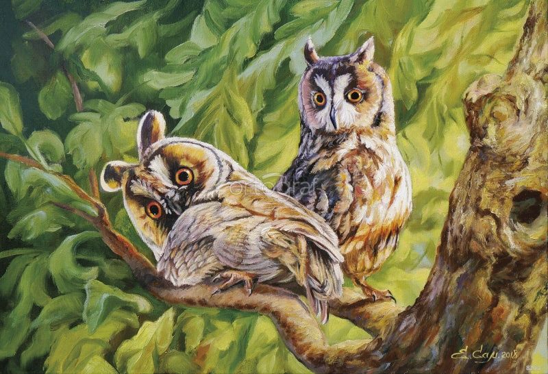 Тайное свидание лучшее Art.8264