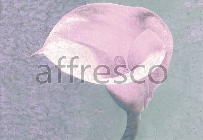 Цветок каллы, арт. ID135578