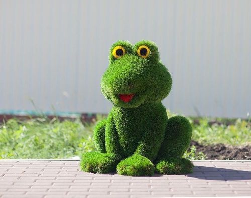 Топиари Лягушка 80*70*60