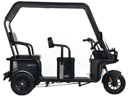 Электротрицикл Wanshida NIPLA 500 60V 1000Вт