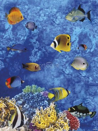 Фреска Подводный мир Art.10539