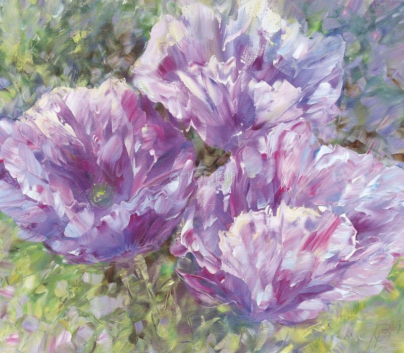 Сиреневые маки Art.8034