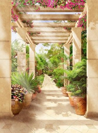 Современный Графический Дизайн 44297